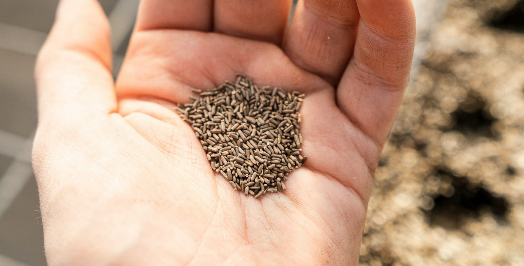 silver glittered heart on persons hand