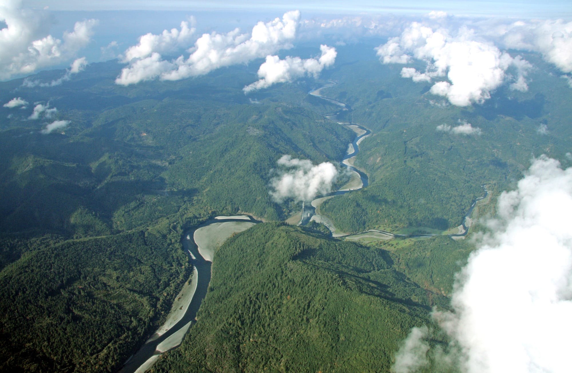 aerial shot of a river and forest