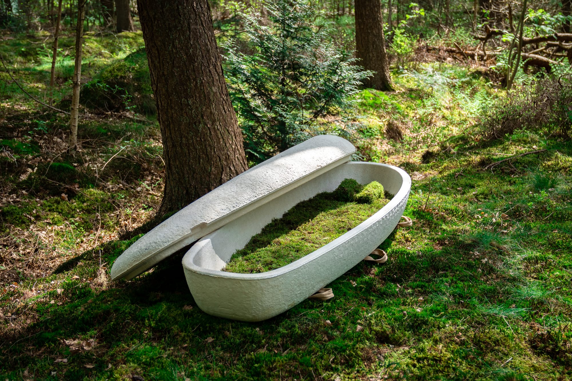 A mushroom casket in a forest