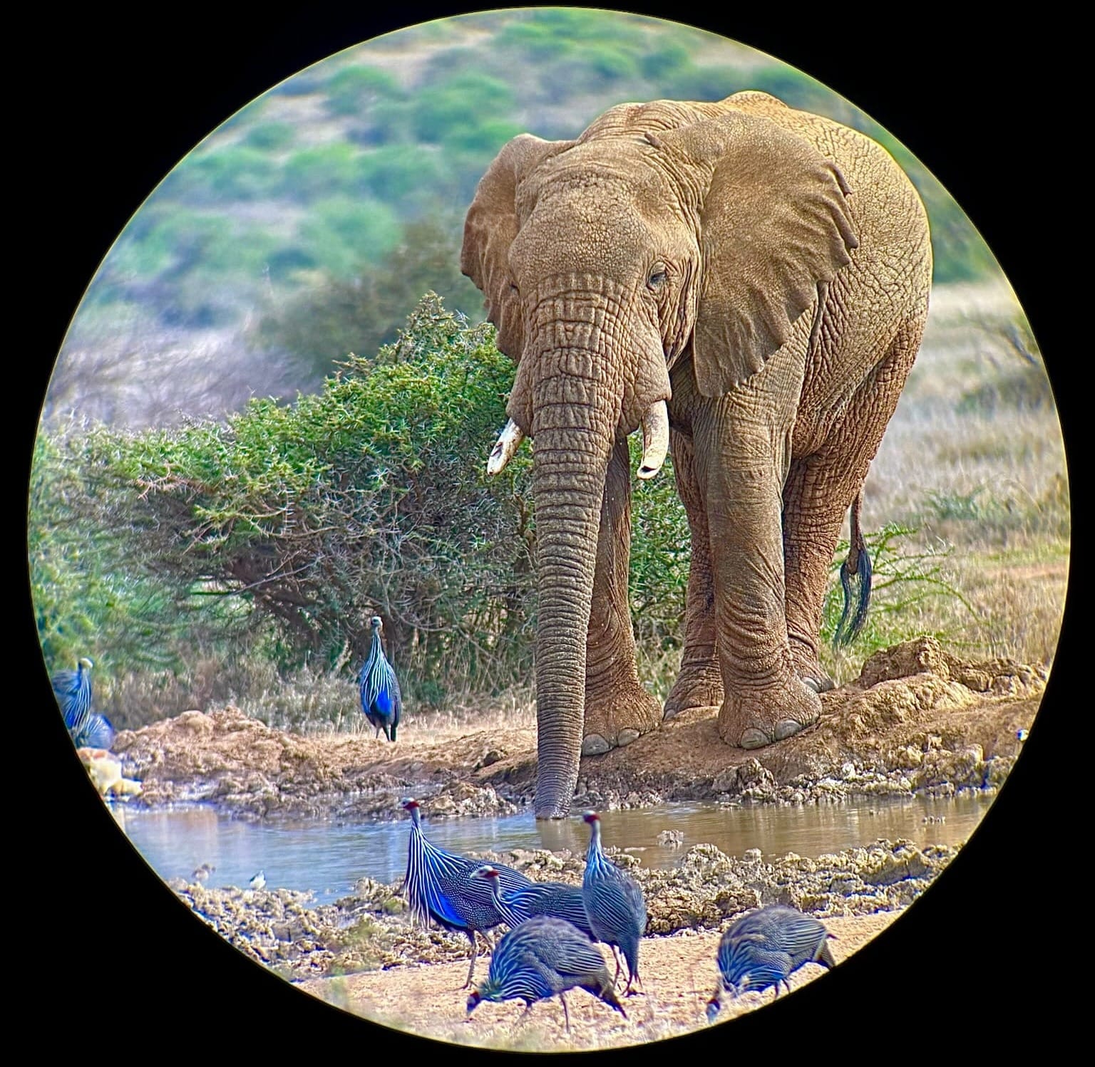 Goodbye, Climativity...